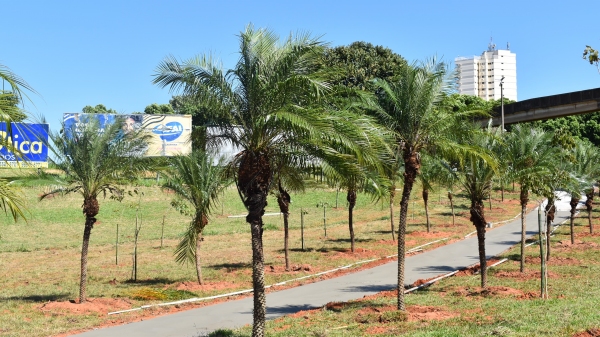 Área ao lado do terminal rodoviário, antiga pista de bicicross (Divulgação/PMA).