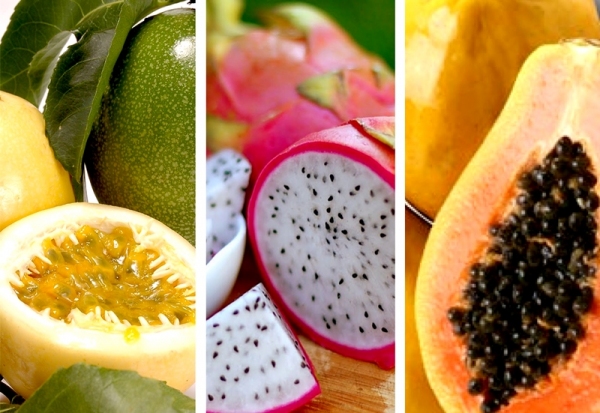 As palestras estarão concentradas na produção do maracujá, mamão e pitaya (Edição de imagens: Siga Mais).