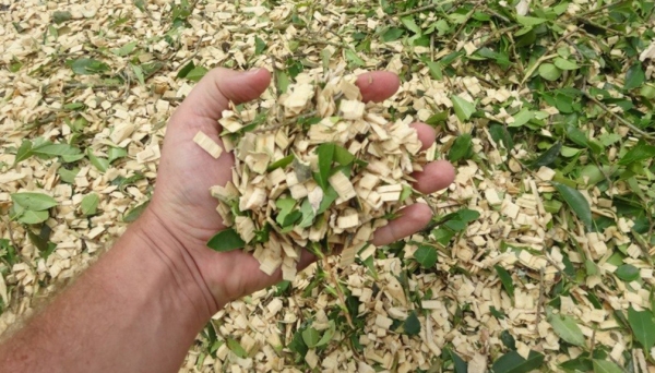 Material orgânico triturado, proveniente de galhos e podas de árvores, está à disposição de interessados, e pode ser incorporado a áreas de plantio, como adubação complementar (Foto: Reprodução/Brehmer Equipamentos).