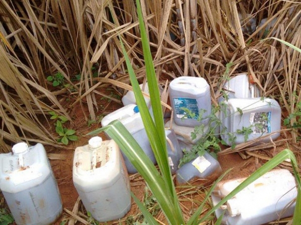 Galões foram encontrados em canavial, no bairro Lagoa Seca, em Adamantina (Foto: Polícia Ambiental/Cedida).