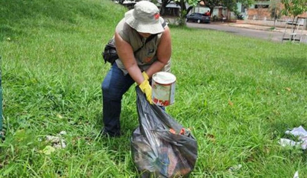 Saúde intensifica ações contra o Aedes com visitas a imóveis (Imagem: Ilustração).