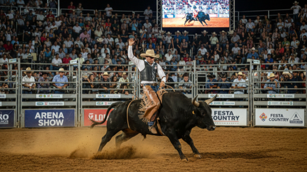 (Imagem Ilustrativa criada por IA).).