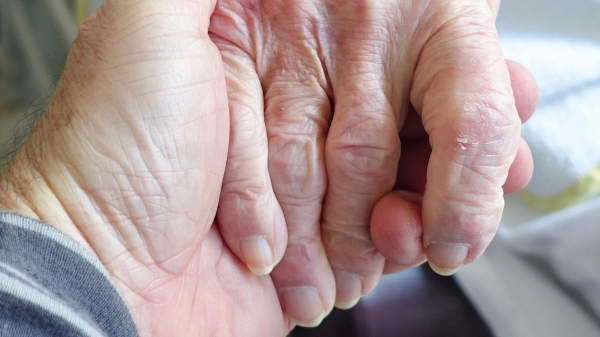 (Imagem: Siggy Nowak/Pixabay).