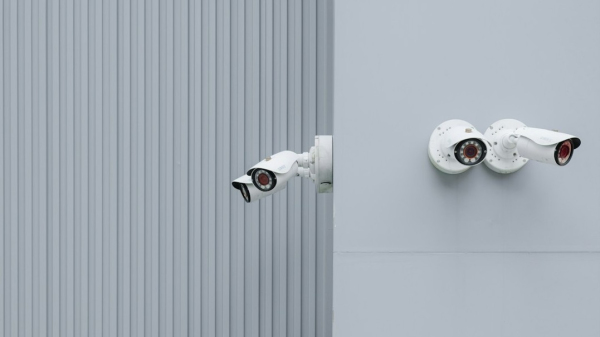 (Imagem ilustrativa: H&CO/Unsplash).