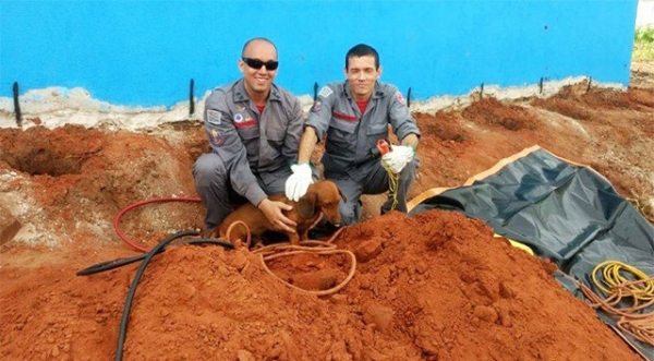 Cão foi resgatado de buraco pelos homens do Corpo de Bombeiros de Tupã (Fotos: João Mário Trentin).