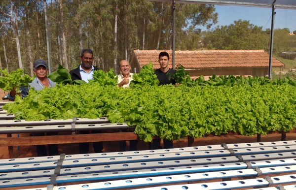 Horta Hidropônica de Pracinha tem sua primeira produção em prol das escolas e creches em projeto de extensão com alunos de Agronomia e Agronegócio da UniFAI. (Foto: Arquivo Pessoal)