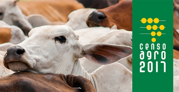 Recenseadores do IBGE estão à campo realizado o Censo Agro 2017 (Imagem: Divulgação).
