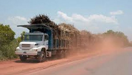 Uso de lona ou similar torna-se obrigatório para o transporte de cana-de-açúcar, determina Contran (Foto: Reprodução/Portal Regional).
