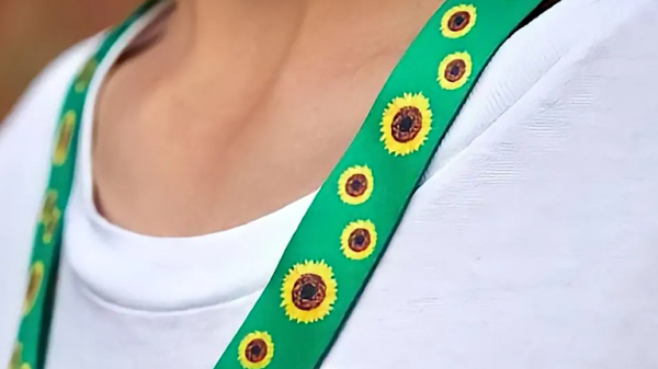 (Foto: Reproducao/CMBH).