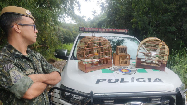 (Cedida/PM Ambiental).