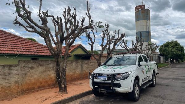 (Cedida/PM Ambiental).