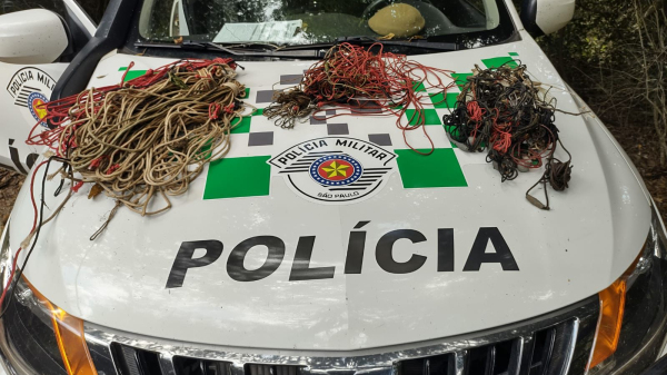 Materiais apreendidos no rio Aguapei (Cedida/PM Ambiental).
