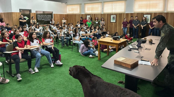 (Cedida/PM Ambiental).