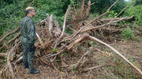 Policiais constataram desmatamento na propriedade rural (Cedida/PM Ambiental).
