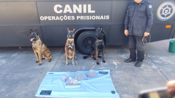 (Cedida: SAP/Ceproeste).