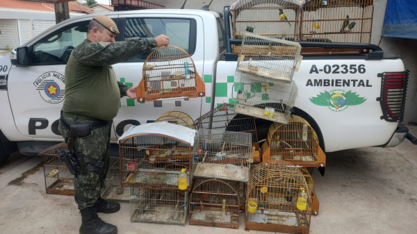 (Cedida/PM Ambiental).