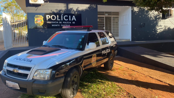 Investigacao ocorre pela Delegacia de Policia de Monte Castelo (Cedida/PC).