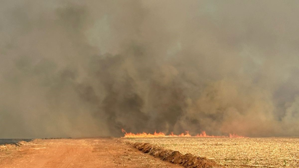 Densa cortina de fumaca na faixa em chamas (Cedida).