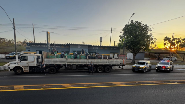 Quase 8 toneladas de drogas foram apreendidas em caminhao com placas de Lages (SC) na SP=294, em Adamantina (Cedida/PM Rodovi?ria).