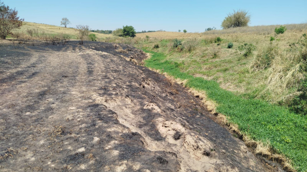 Area afetada pelo fogo (Cedida/PM Ambiental).