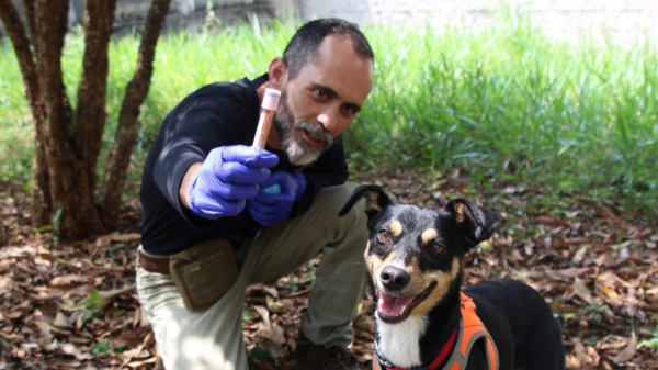 Cadela foi encontrada na rua pelo perito criminal e adotada (Imagem: SSP-SP).