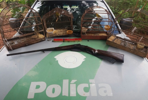 Aves resgatadas pela Polícia Ambiental vão ser reinseridas no habitat natural (Foto: Cedida/Polícia Ambiental).