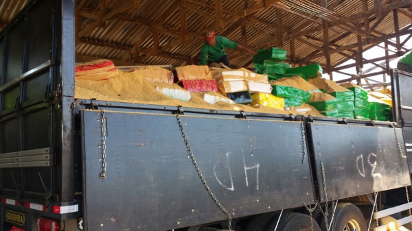 Mais de 11 toneladas de maconha em meio à carga de farelo de soja foram apreendidas pela Polícia Federal (Foto: Cedida/PF).