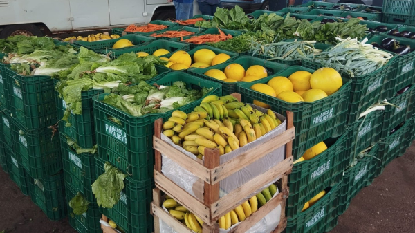 PAA em Adamantina envolve cerca de 80 produtores da agricultura familiar (Cedida/PMA).