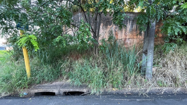 Ponto de ônibus na Avenida Rio Branco, em frente ao barracão do antigo IBC, na manhã desta quarta-feira, 22 de março (Imagem: Siga Mais).