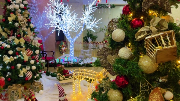 Concurso vai premiar decoração natalina nas empresas que se inscreveram (Foto: Siga Mais).