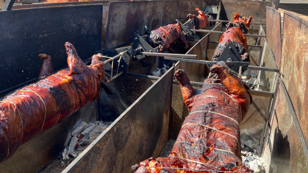 Porco no rolete, evento tradicional da ARCA (Arquivo/Siga Mais).