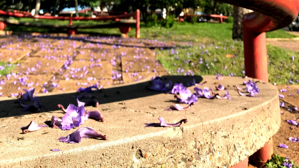 Praca Elio Micheloni, centro de Adamantina (Arquivo/Siga Mais).