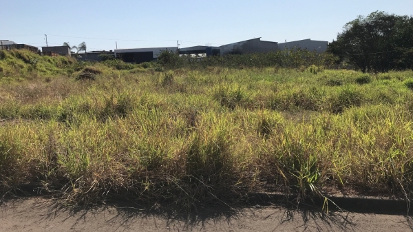 No Distrito Industrial Valentim Gatti, terreno sem qualquer ocupação/atividade se contrapõe com empresas em operação ao fundo (Foto: Siga Mais).