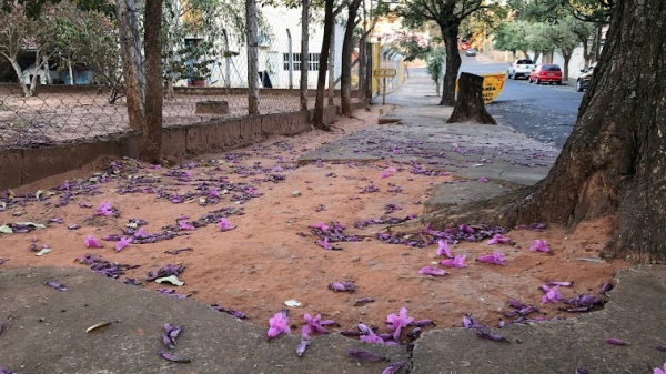 Cratera no passeio público em frente à creche, na Rua Olegário Campos de Souza, em 20/08/2021 (Foto: Siga Mais).