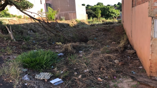 Terrenos devem ser periodicamente capinados e limpos, sob responsabilidade do proprietário do imóvel (Arquivo/Siga Mais).
