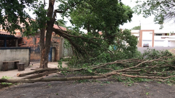 Desobstrução de ruas, por queda de árvores e galhos, foi um dos trabalhos realizados pela Prefeitura de Adamantina, na cidade, após o vendaval (Foto: Siga Mais).