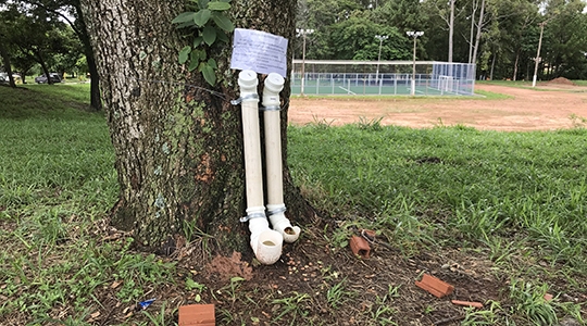 Um dos comedouros está instalado no Parque dos Pioneiros (Fotos: Siga Mais).
