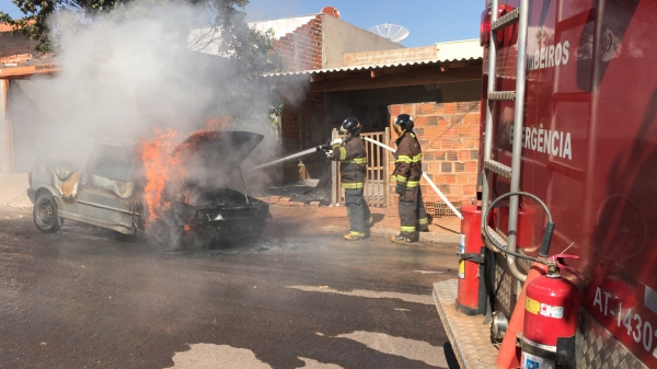 Bombeiros concluíram combate às chamas (Foto: Siga Mais).