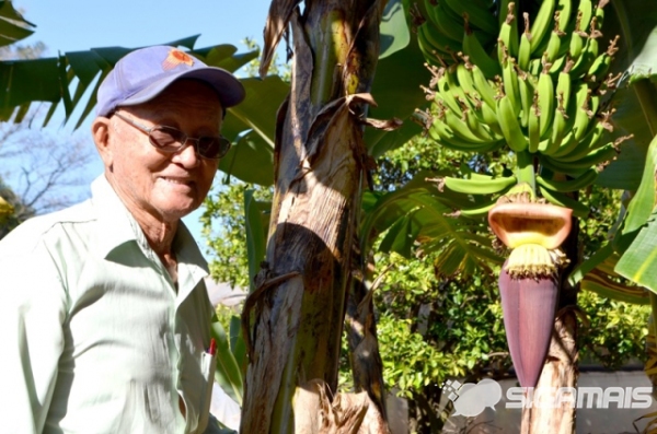 Produtor rural Hiroshi Karimata vai receber título de Cidadão Adamantinense