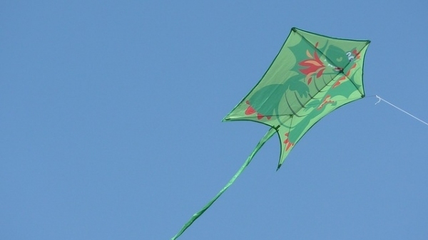 Ocorrências com pipa na rede elétrica aumentam 38% durante a pandemia