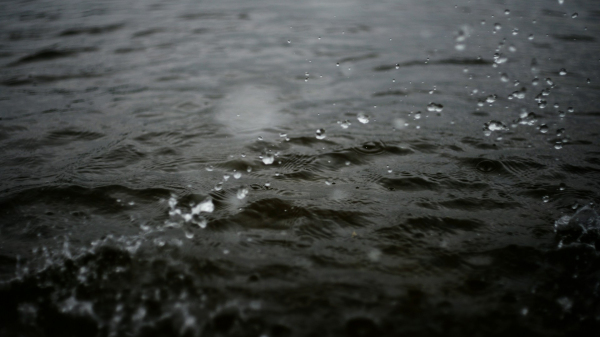 (Imagem ilustrativa: Liana S/Unsplash).