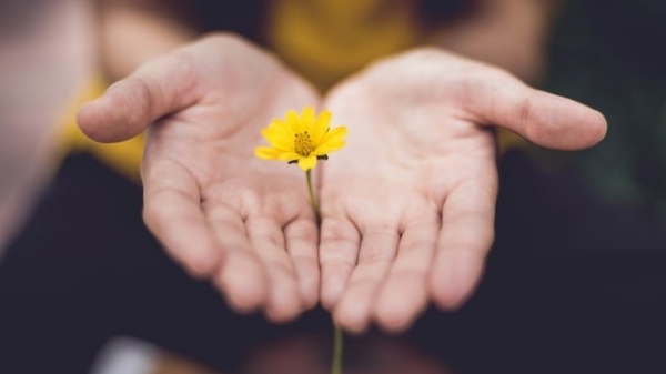 Moradores são egressos do hospital psiquiátrico Pai Nosso Lar e em atendimento a lei federal 10.216 precisam morar fora do ambiente hospitalar (Foto: Lina Trochez/Unsplash).