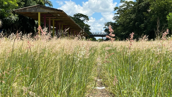 Regi?o da Esta??o Recreio em 18/01/2024 (Siga Mais).