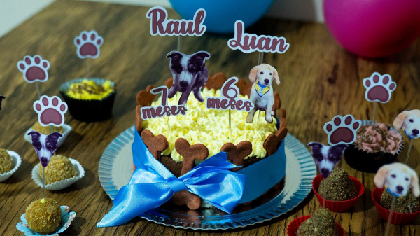 Doces Patinhas - Kit Festa Pet, novidade trazida a Adamantina pela empreendedora Maura Neres (Divulgacao).