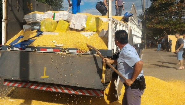 Droga estava escondida em meio à carga de milho a granel e foi descoberta pela Polícia Rodoviária (Foto: Cedida/Polícia Rodoviária).