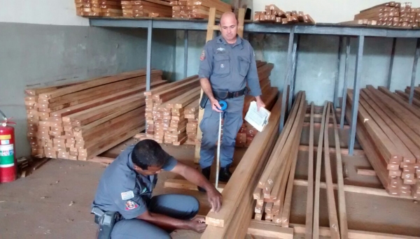 Três endereços de madeireira do mesmo proprietário foram alvo de fiscalização pela Polícia Ambiental em Dracena e Junqueirópolis (Foto: Cedida/Polícia Ambiental).