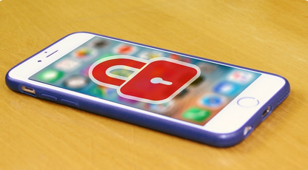 Com o bloqueio, a Anatel pretende coibir o uso de telefones móveis não certificados, com IMEI adulterado, clonado ou outras formas de fraude (Reprodução/Anatel).