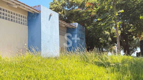 Empresa vai realizar rocagem de vegetacao em areas publicas (Siga Mais).