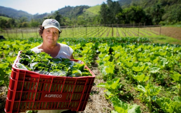 Encontro discute assistência técnica e extensão rural com foco na agroecologia e alimentos saudáveis (Foto: MDA/Ilustração).