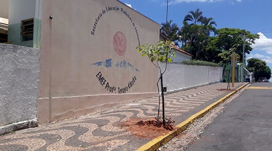 SAAMA realizou o plantio de 63 espécies nativas nas escolas municipais de Adamantina (Da Assessoria).